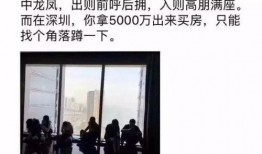 深圳邓先生最新爆料,最新爆料引发社会热议